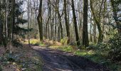 Tocht Stappen Blieberg - A la découverte de Hombourg - Photo 20