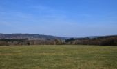 Tocht Stappen Stoumont - 20250309 - TOTEMUS RAHIER - - Photo 8
