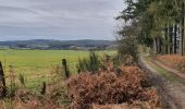 Trail Walking Paliseul - maissin 30 /01/2020 - Photo 2