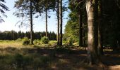 Tocht Elektrische fiets Pluvigner - Boucle dans la forêt de Florange à partir de Bieuzy Lanvaux - Photo 2