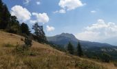 Excursión Senderismo Chorges - au dessus de Chorges : Naume Raze . les Drayes . parking des Gardes . Forest Barthiers . Naume Raze - Photo 16