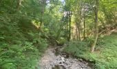 Tour Wandern Kiischpelt - Escapardenne Eisleck Trail: Kautenbach - Clervaux - Photo 14