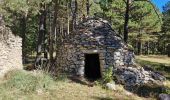 Tour Wandern Saint-Saturnin-lès-Apt - les aigiuer - Photo 2