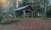 Trail Walking Saint-Nabord - 29-10-24 etang Huchere, rond caillou - Photo 1