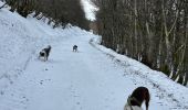 Trail Walking Stosswihr - La Schlucht Le Hohneck Le lac de La Lande Le Collet - Photo 13