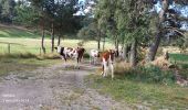 Tour Wandern Cheylard-l'Évêque - Les hauts de cheylard /Bastide puy Laurent    - Photo 12