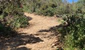 Trail Walking Sainte-Maxime - circuit panoramique Ste Maxime - Photo 10