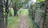 Tour Wandern Namen - La Plante Citadelle Namur 16,3 km - Photo 4