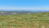 Trail Walking Bouvante - Pas de la Ferrière  - Photo 10