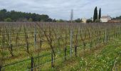 Randonnée Marche Les Arcs-sur-Argens - LES ARCS - LE MUY - LA MOTTE - SAINTE ROSELINE ET VALBOURGES - Photo 10