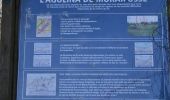 Tocht Stappen Verviers - 20241130 - FFBMP Heusy - 6.3 Km - Photo 5