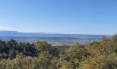 Tour Wandern Cucuron - Mourre nègre - Versand Sud depuis Cucuron - Photo 2