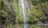 Randonnée Marche São Vicente - Levada da Faja do Rodrigues (Rother n°32) - Photo 10