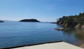 Trail Walking La Ciotat - Trail Walking La Ciotat -