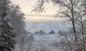 Trail Walking Spa - fagne de malchamp sous les premières neiges de 2025 - Photo 12