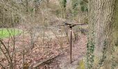 Tocht Stappen Anthisnes - Anthisnes 250225 - Photo 8