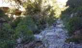 Tour Wandern Auriol - Ste Baume - Auriol :  Les trois ravins  - Photo 3