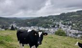 Tour Wandern La Bourboule - La Bourboule - Roche de Vendée- Rocher de l Aigle - Photo 1