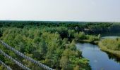Trail Walking Lommel - Le Sahara de Lommel  - Photo 4