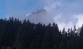 Randonnée Marche La Roche-sur-Foron - GLIERES / BORNES: LE CHESNET - SUR COU - COL DU FREU - Photo 9