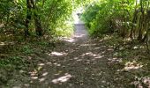 Trail Walking Saint-Sulpice-de-Favières - Saint-Sulpice-de-Favières - Photo 15