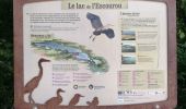 Trail Walking Eymet - le lac - Photo 1
