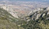 Trail Walking Cheval-Blanc - cheval blanc  - Photo 3