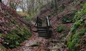 Excursión Senderismo Waldbillig - La cascade de Mullerthal - Photo 1