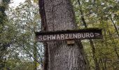 Excursión Senderismo Waldkirch - Waldkirch - grande boucle des ruines du Schwanzenberg - Photo 16