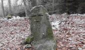 Tour Zu Fuß Bad Soden-Salmünster - Bad Soden-Salmünster Münsterberg-Rundtour - Photo 1