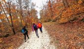 Trail On foot Fontainebleau - Sur les traces de Rosa Bonheur - Thomery - Photo 3