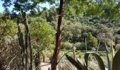 Randonnée Marche Cavalaire-sur-Mer - DE CAVALAIRE AU RAYOL - MER ET CRÊTES - Photo 4