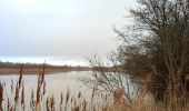 Randonnée Marche Veere - Se promener dans Westkapelle et dans les dunes  - Photo 18