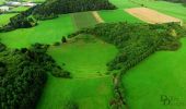 Randonnée A pied Gerolstein - Gerolsteiner Felsenpfad - Photo 4