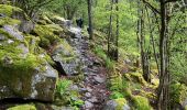 Trail Walking Metzeral - Wormsa-Schnepfenried  - Photo 10