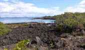 Randonnée A pied Waiheke - Rangitoto Coastal Walk - Photo 2