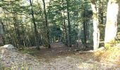 Trail Walking Xonrupt-Longemer - randonnée sur 2 jours des 5 lacs dans les Vosges ( longemer, blanchemer, lispach, Retournemer, de la lande) - Photo 10