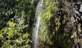 Tocht Stappen São Jorge - Levada do Rei (Rother n°30) - Photo 15