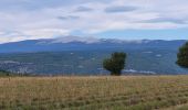 Tocht Stappen Sault - ballade du vallat du loup - Photo 16