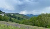 Tocht Stappen Pont de Montvert - Sud Mont Lozère - Bédoues saint jean du Gard GR70 gr43 - Photo 19