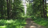 Randonnée Marche Rethondes - en forêt de Laigue_8_06_2020_les Routes des Bonshommes, de la Trouée des Bonhommes_Route forestière de Sainte-Croix - Photo 10