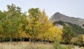 Tour Wandern Ventavon - VENTAVON Font Sale Pas de Roche Rousse  col de Peyssier   les Oustaus . MF Bonsecours o m s - Photo 14