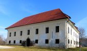 Excursión A pie Liubliana - Čemšeniška grajska pot - Photo 3