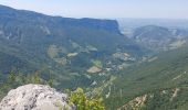 Tocht Stappen Saint-Martin-en-Vercors - Rocher de l'Allier - Photo 2