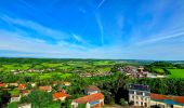 Tocht Stappen Langres - Boucle 32 km autour de Langres - Photo 12