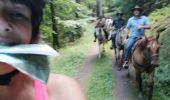 Trail Horseback riding Ban-de-Sapt - equiplaine à la fontenelle  - Photo 1