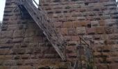 Trail Mountain bike Riquewihr - Riquewihr - Photo 1
