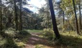 Trail Walking Cayeux-sur-Mer - lac de caouaisse . brighton . pointe de hourdel . lac de caouzisse   - Photo 15
