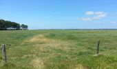 Randonnée Marche Huisnes-sur-Mer - Huisnes-sur-Mer - vue Mont-St-Michel - Pointe de Roche Torin - 14km 75m 4h30 (45mn) - 2017 06 26 - Photo 8