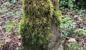 Trail Walking Modave - modave - clavier station, retour par la ligne 126 - Photo 6